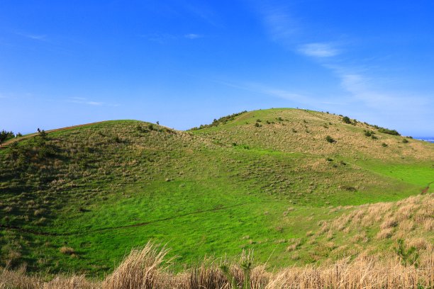 蓝天白云油菜花油画