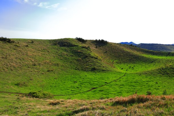 蓝天白云油菜花油画