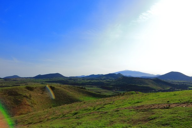 蓝天白云油菜花油画