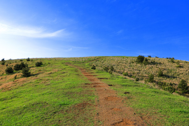 蓝天白云油菜花油画