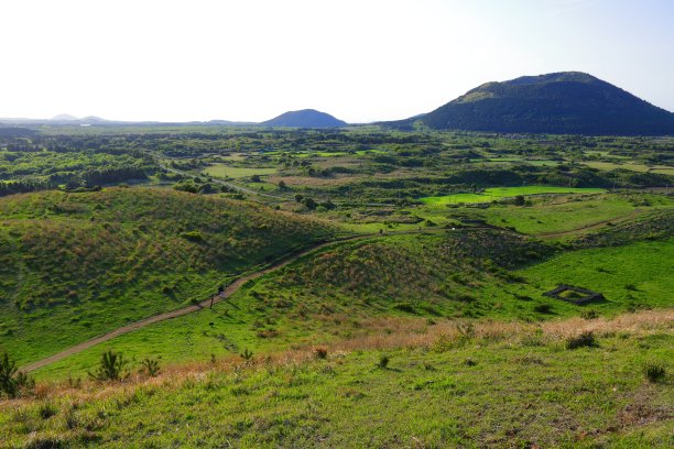 蓝天白云油菜花油画