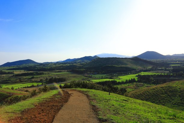 蓝天白云油菜花油画