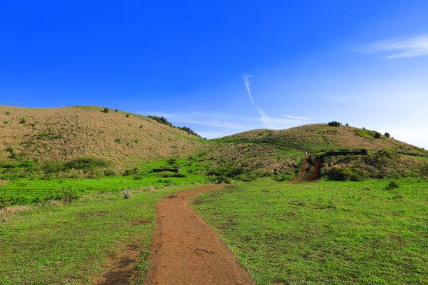 蓝天白云油菜花油画