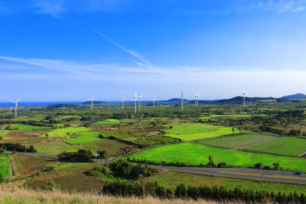 蓝天白云油菜花油画