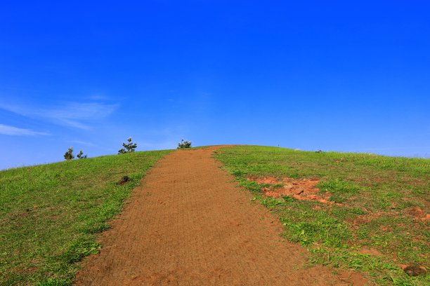 蓝天白云油菜花油画