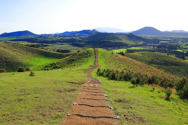 蓝天白云油菜花油画