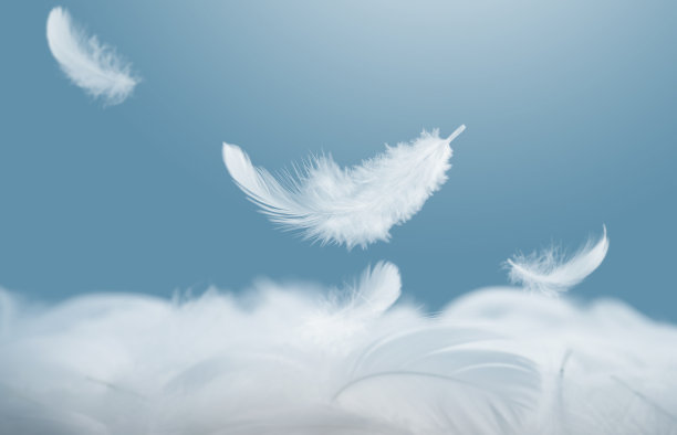 plumage