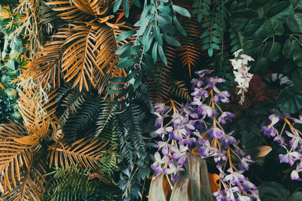 橙红色花朵条纹背景图案