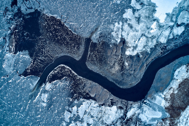 arctic