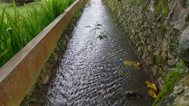 ditch