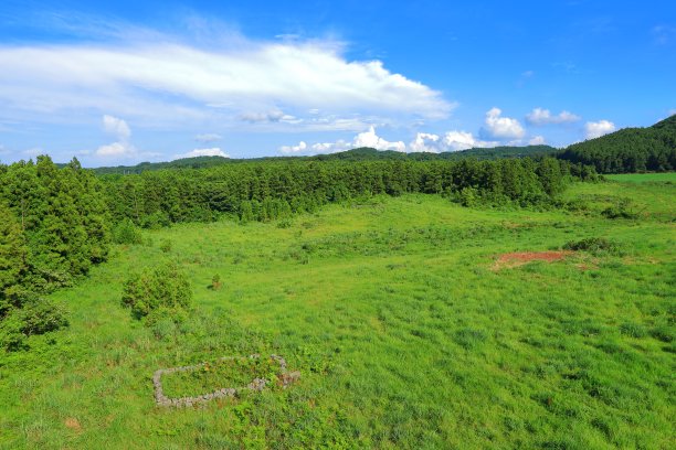 蓝天白云油菜花油画