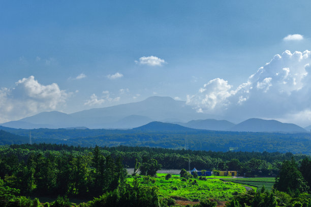 蓝天白云油菜花油画