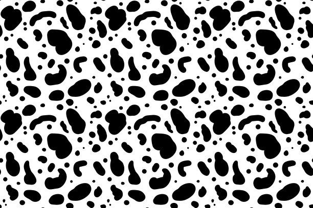 dalmatian