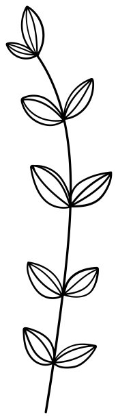 vegetation