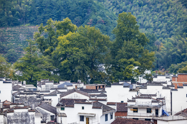 婺源石城