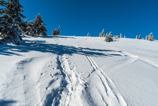 雪山,环境,雪