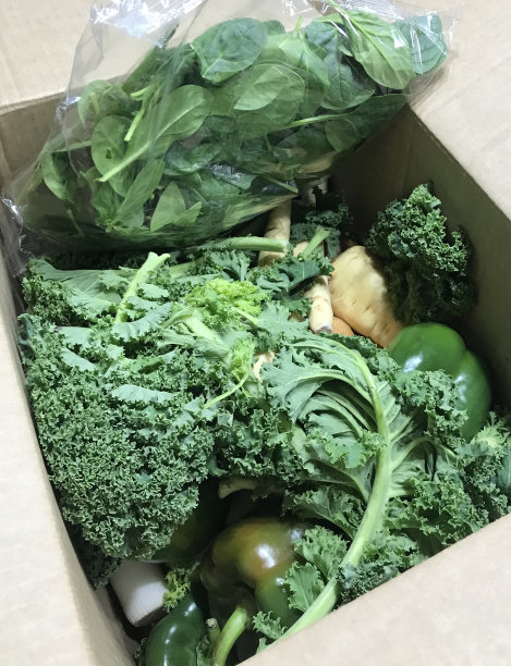 绿色蔬菜纸箱