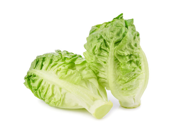 romaine