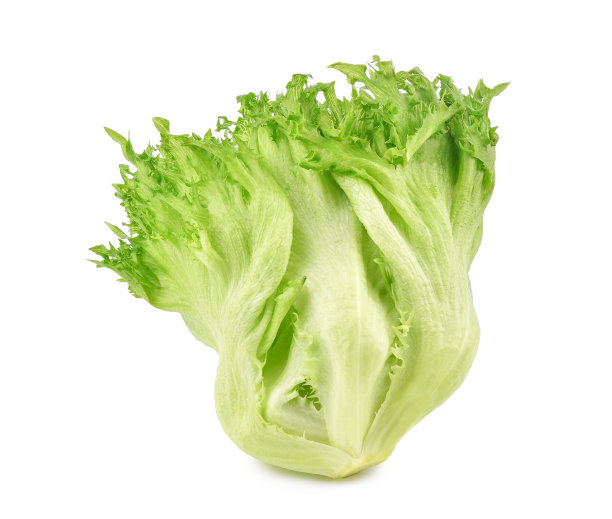 romaine