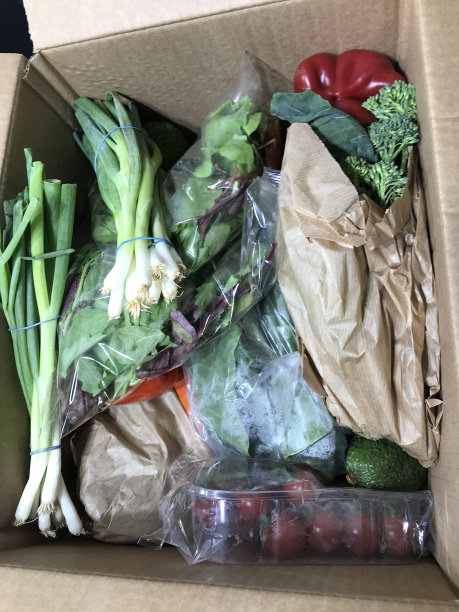 绿色蔬菜纸箱