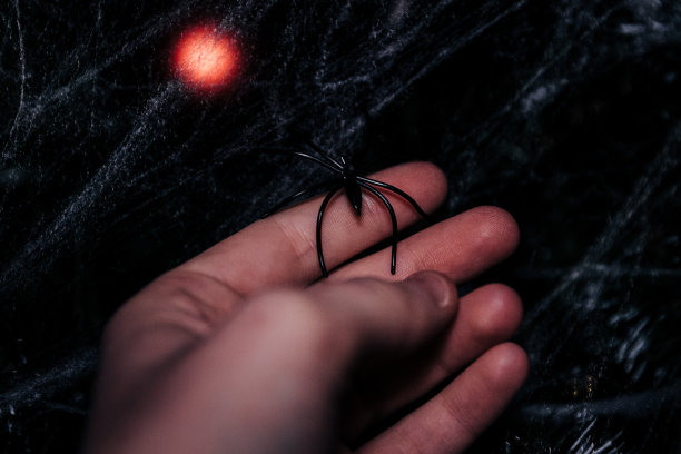araneae