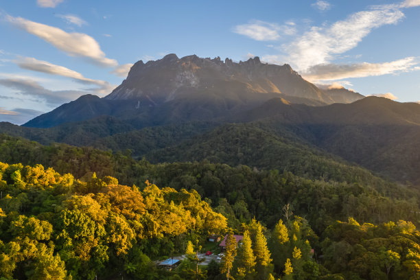 borneo