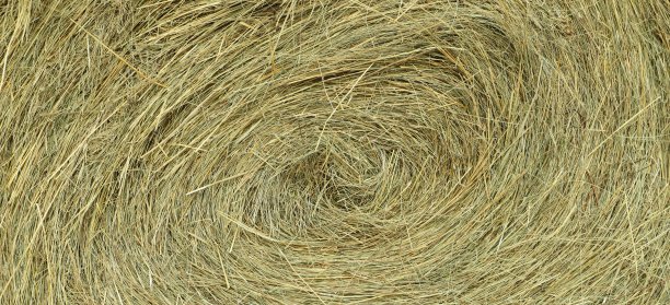 bale
