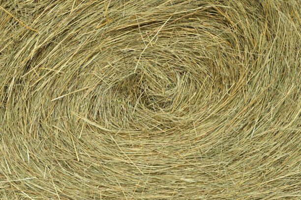 bale