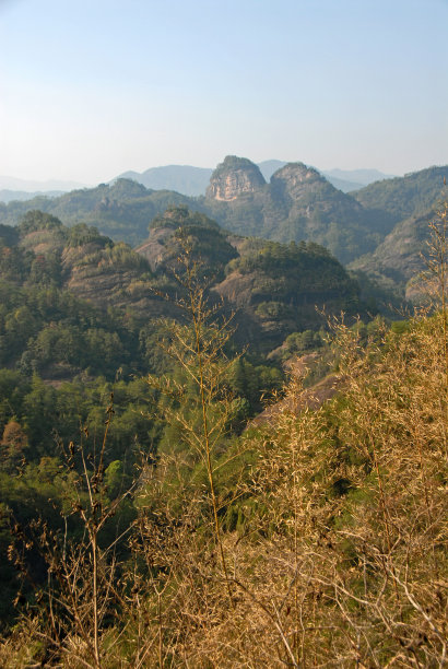 武夷山野生动物