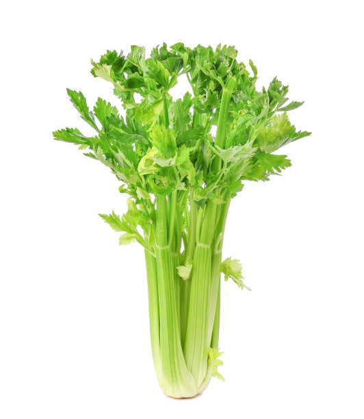 celery