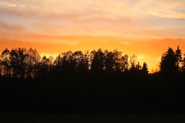 户外蓝天白云草地树林图片