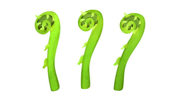 fiddlehead