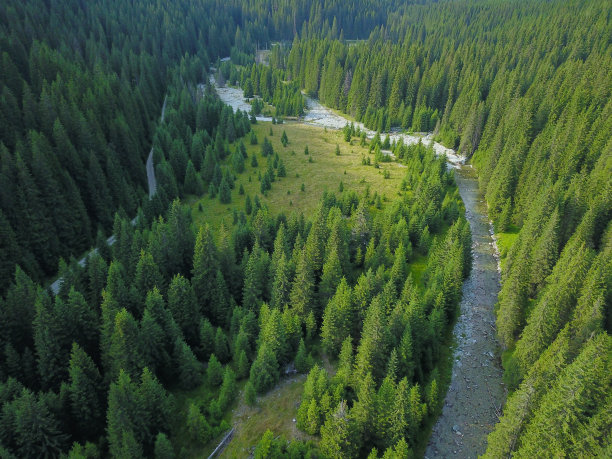 户外蓝天白云草地树林图片