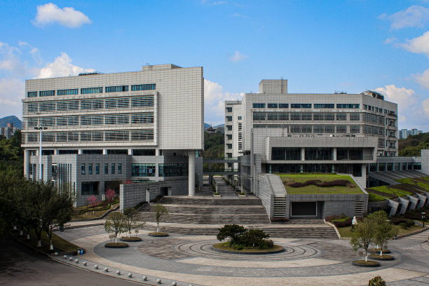 重庆大学背景设计