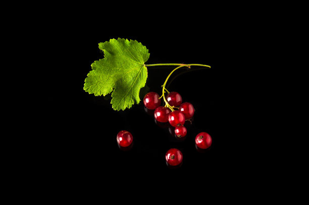 redcurrant