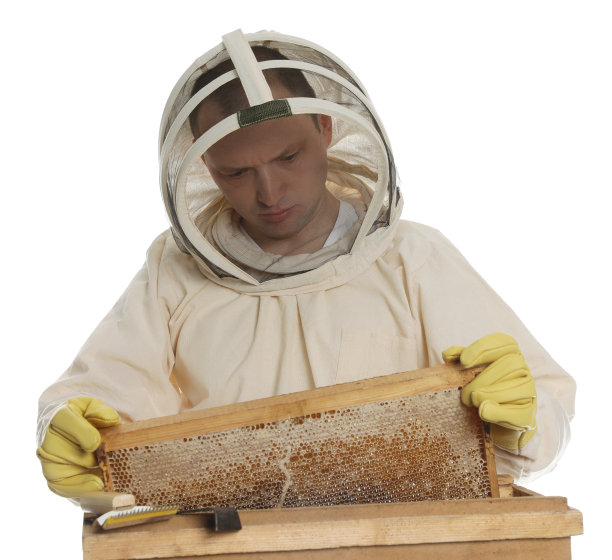 beekeeper