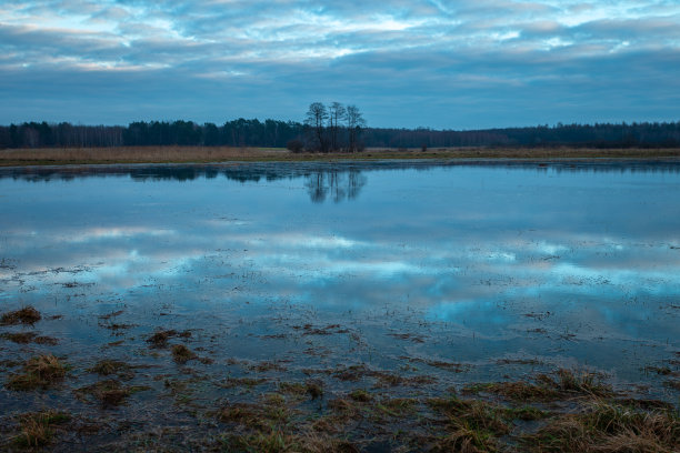 backwater