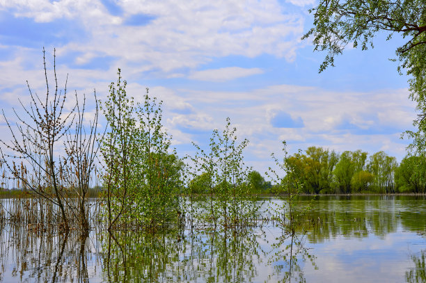 backwater