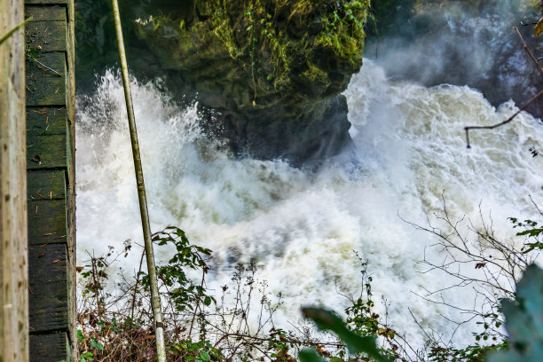 rapids