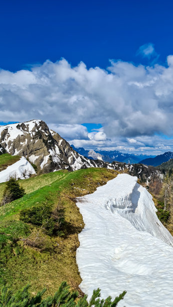 户外蓝天白云草地树林图片