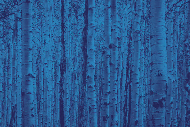 aspen