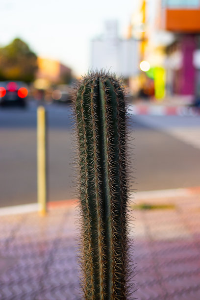 spiked