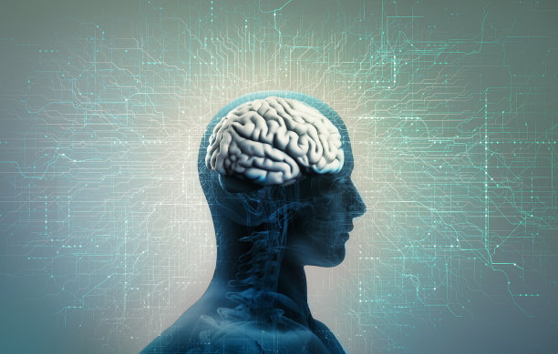 cerebrum