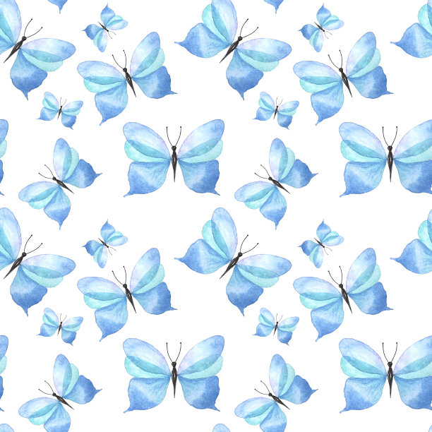 蓝白花卉蝴蝶图案素材