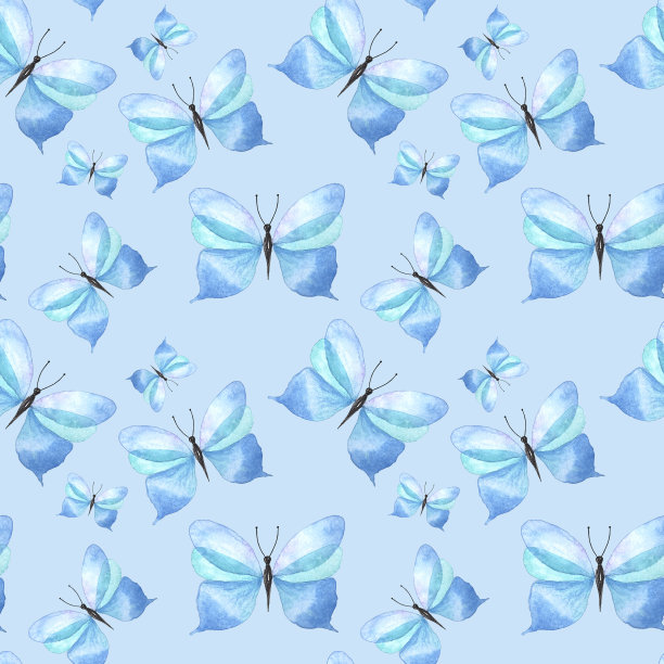 蓝白花卉蝴蝶图案素材