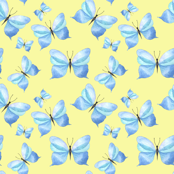 蓝白花卉蝴蝶图案素材