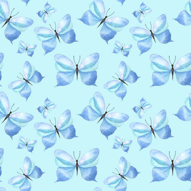 蓝白花卉蝴蝶图案素材