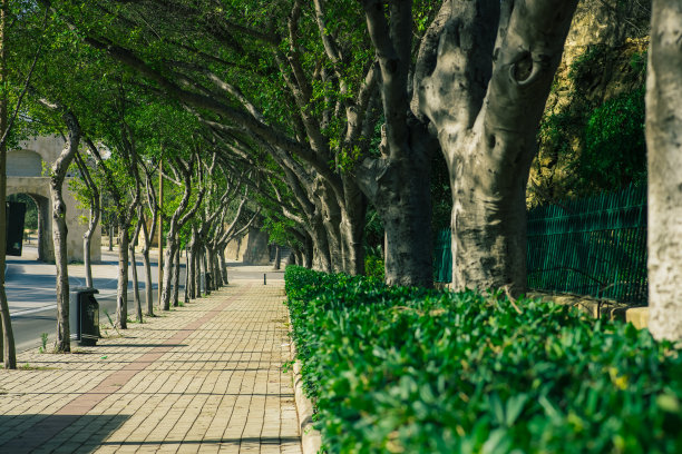 avenue