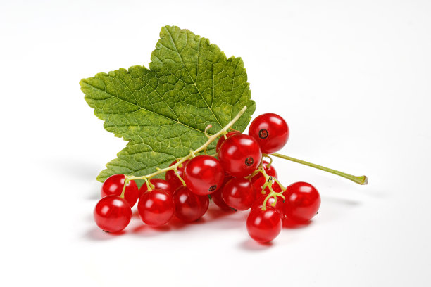 redcurrant