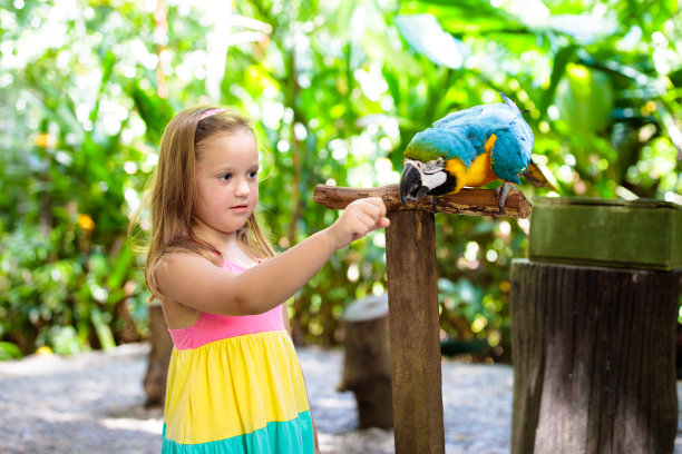 macaws
